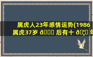 属虎人23年感情运势(1986属虎37岁 🐎 后有十 🦆 年大运)